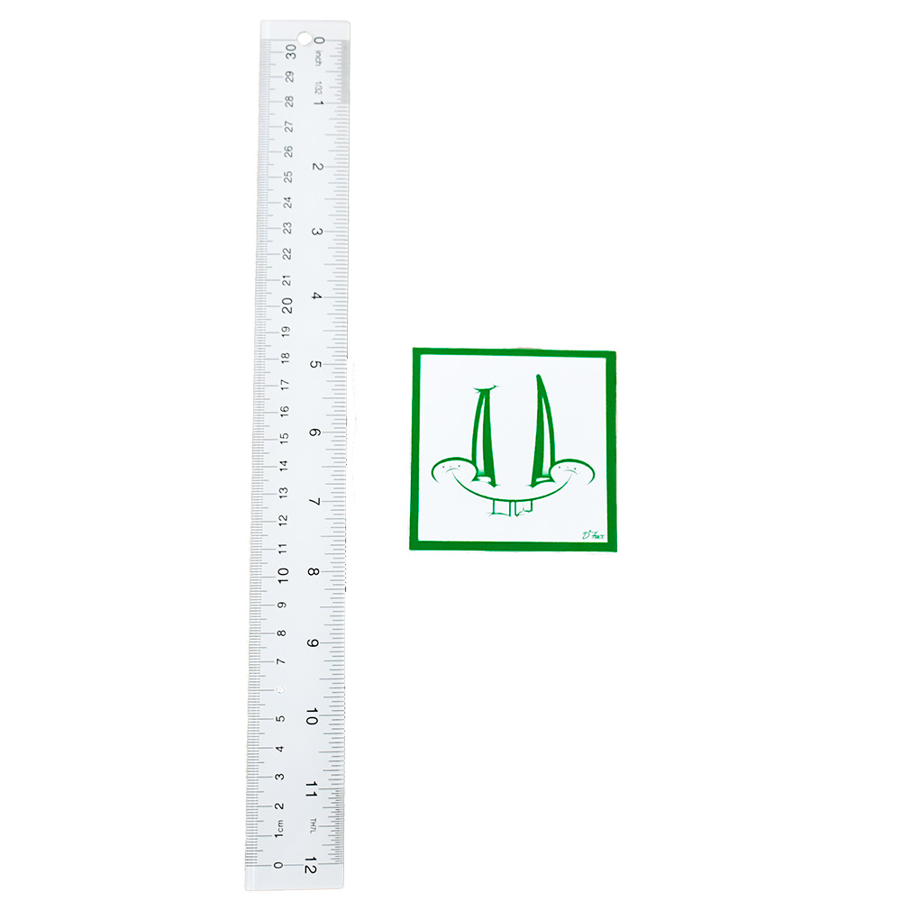 dface smiley face sticker green next to ruler